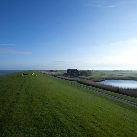 Tede Warft Pellworm Exterior foto
